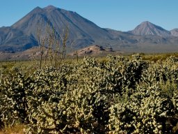 USA_Mexico2006-2007-043